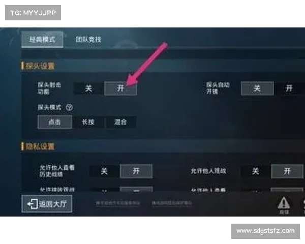 无法进入和平精英怎么办 常见问题解决方案详解