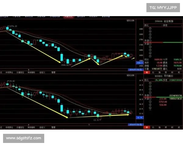阴王角色加点技巧解析提升输出与生存能力的高效培养方案