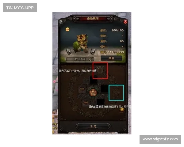 斗战神龙女刺客加点技巧全解析助你打造最强战力